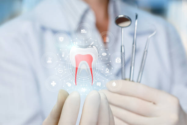 Enterprise, WV Holistic Dental Care Services Company